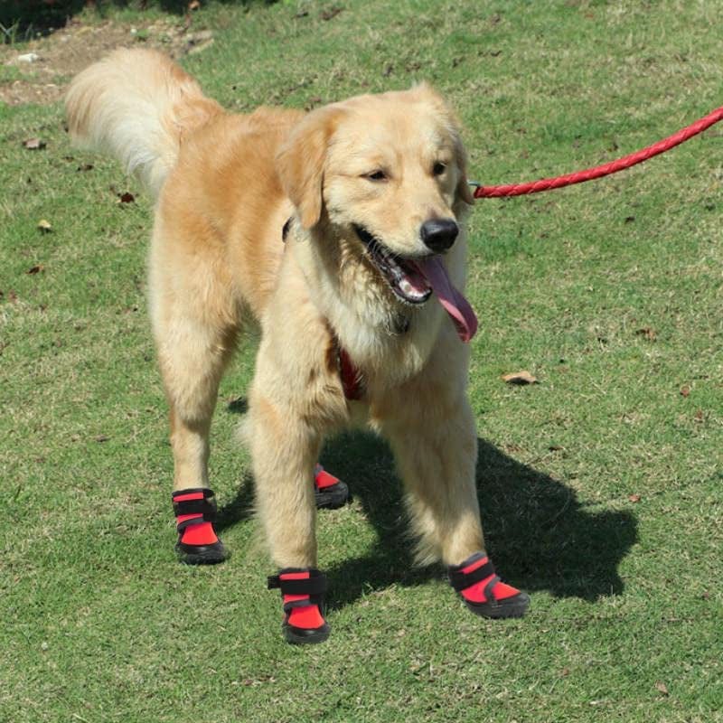 Pawsindia Dog Boots for Small, Medium and Large Dogs|Anti Skid Paw Protector for Hot Summer|Pet Shoes with Hook and Loop Straps and Non-Slip Sole|Soft & Lightweight Dog Footwear|Red|X-Large Animals & Pet Supplies > Pet Supplies > Dog Supplies > Dog Apparel Pawsindia   