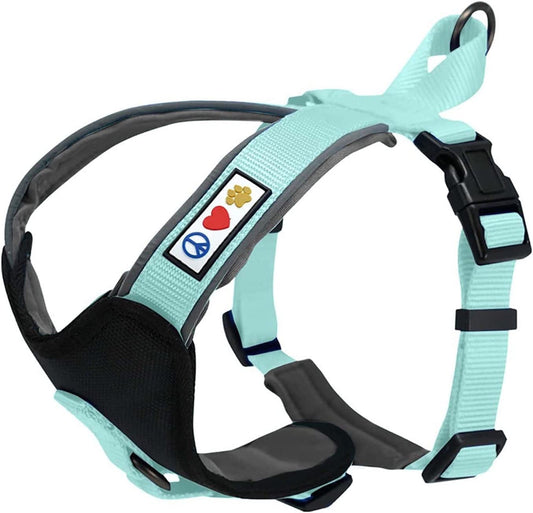 Pawtitas Vest Adjustable Padded Reflective Dog Harness Provides Comfort Control for Walk, Train and Reduces Pull Tugging Great Pet Accessories | Step in Dog Harness Small Teal Vest Animals & Pet Supplies > Pet Supplies > Dog Supplies > Dog Apparel Pawtitas Teal 2X-Small (Pack of 1) 