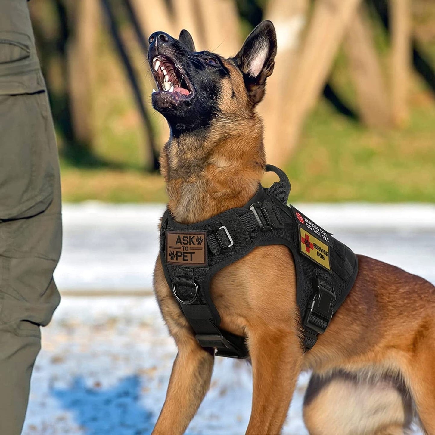 PAWTRENDER Tactical Dog Harness for Large Dogs No Pull, Adjustable Service Dog Vest Harness with Handle, Heavy Duty Big Dog Harness for Walking Running Training Working Hiking, Black, L Animals & Pet Supplies > Pet Supplies > Dog Supplies > Dog Apparel PAWTRENDER   