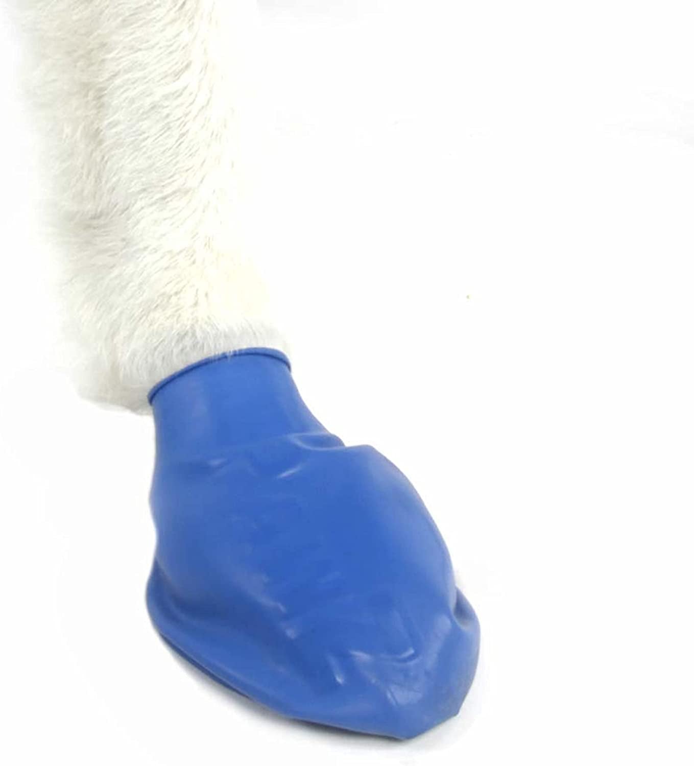 Pawz Dog Boots | Rubber Dog Booties | Waterproof Snow Boots for Dogs | Paw Protection for Dogs | 12 Dog Shoes per Pack (Medium, Blue) Animals & Pet Supplies > Pet Supplies > Dog Supplies > Dog Apparel Pawz Dog Boots LLC   