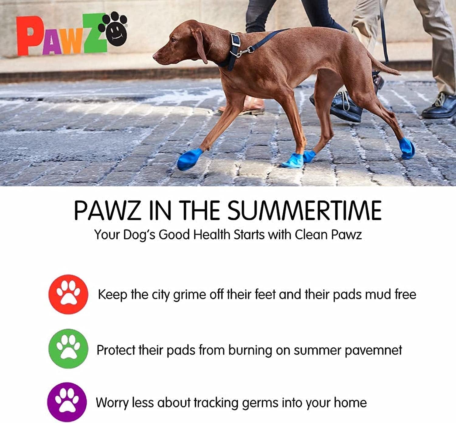 Pawz Dog Boots | Rubber Dog Booties | Waterproof Snow Boots for Dogs | Paw Protection for Dogs | 12 Dog Shoes per Pack (Medium, Blue) Animals & Pet Supplies > Pet Supplies > Dog Supplies > Dog Apparel Pawz Dog Boots LLC   
