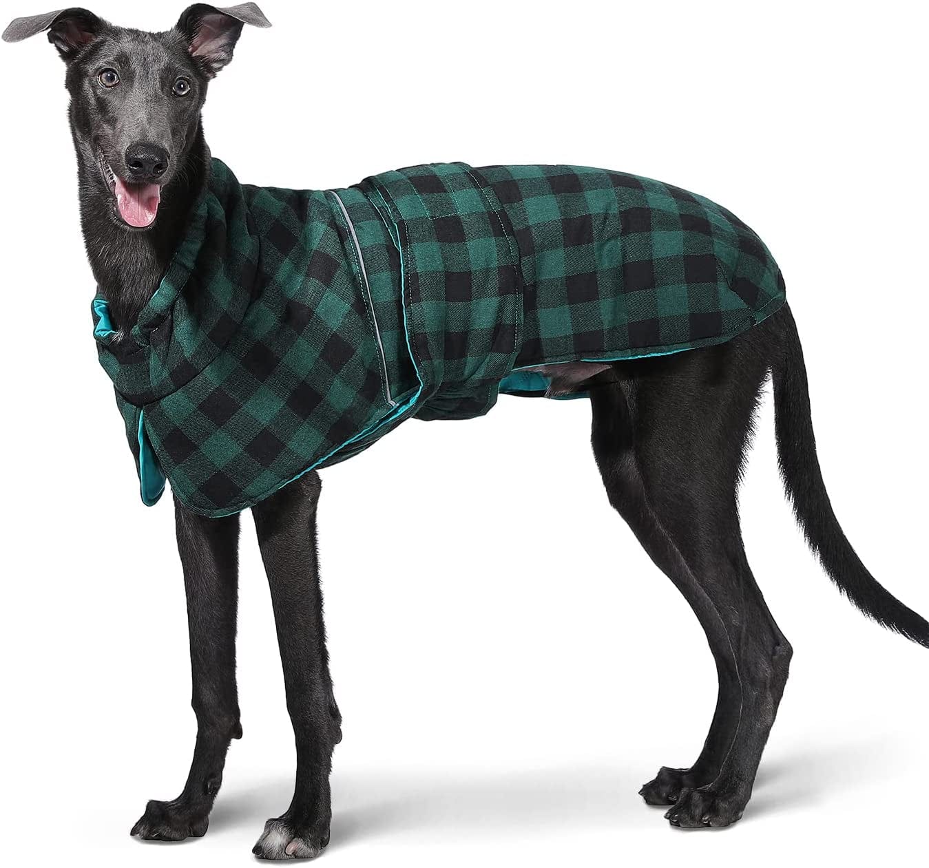 PAWZ Road Dog Winter Coat with 5 Layers Warm Material, Reversible Dog Clothes with 2 Sides, Dog Jacket Outdoor Water Repellent, (Green Plaid L) Animals & Pet Supplies > Pet Supplies > Dog Supplies > Dog Apparel PAWZ Road Green Plaid Small (Pack of 1) 