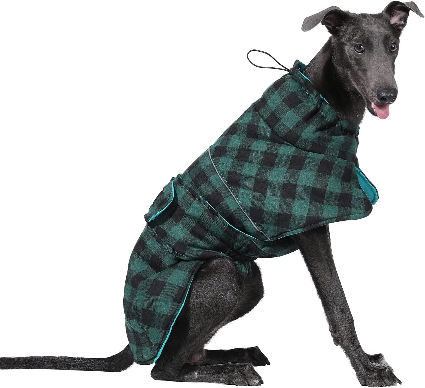 PAWZ Road Dog Winter Coat with 5 Layers Warm Material, Reversible Dog Clothes with 2 Sides, Dog Jacket Outdoor Water Repellent, (Green Plaid L) Animals & Pet Supplies > Pet Supplies > Dog Supplies > Dog Apparel PAWZ Road   