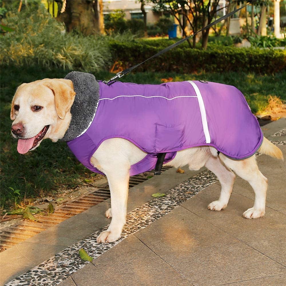 PENIVO Cold Weather Reflective Coats Adjustable Dog Clothes Winter Waterproof Outdoor Pet Dog Jacket Thicken Warm Dog Coat for Small Medium Large Dog Sweater (XL, Purple) Animals & Pet Supplies > Pet Supplies > Dog Supplies > Dog Apparel PENIVO   