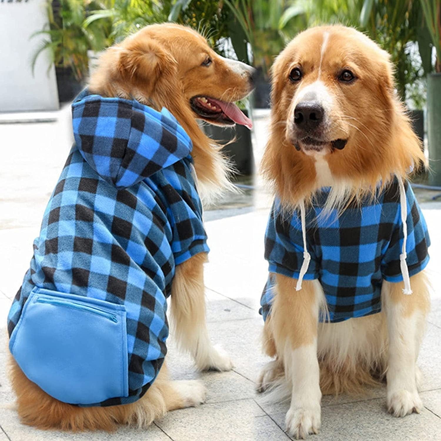 Dog walking clearance clothes for winter