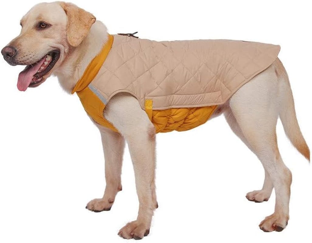 Pet Clothes for Small Dogs Girls Dress Dog Coats for Small Medium Dogs Boy Girl Cozy Dog Jackets Coats Vest Pet Windproof Cold Weather Coats Animals & Pet Supplies > Pet Supplies > Dog Supplies > Dog Apparel HonpraD   