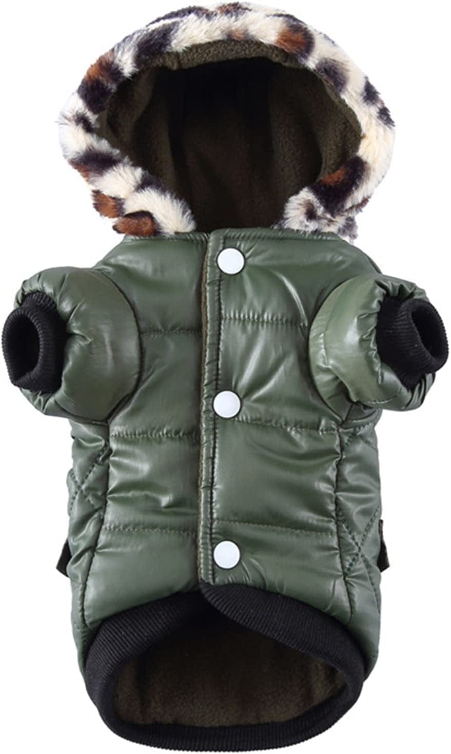 Waterproof chihuahua outlet coat