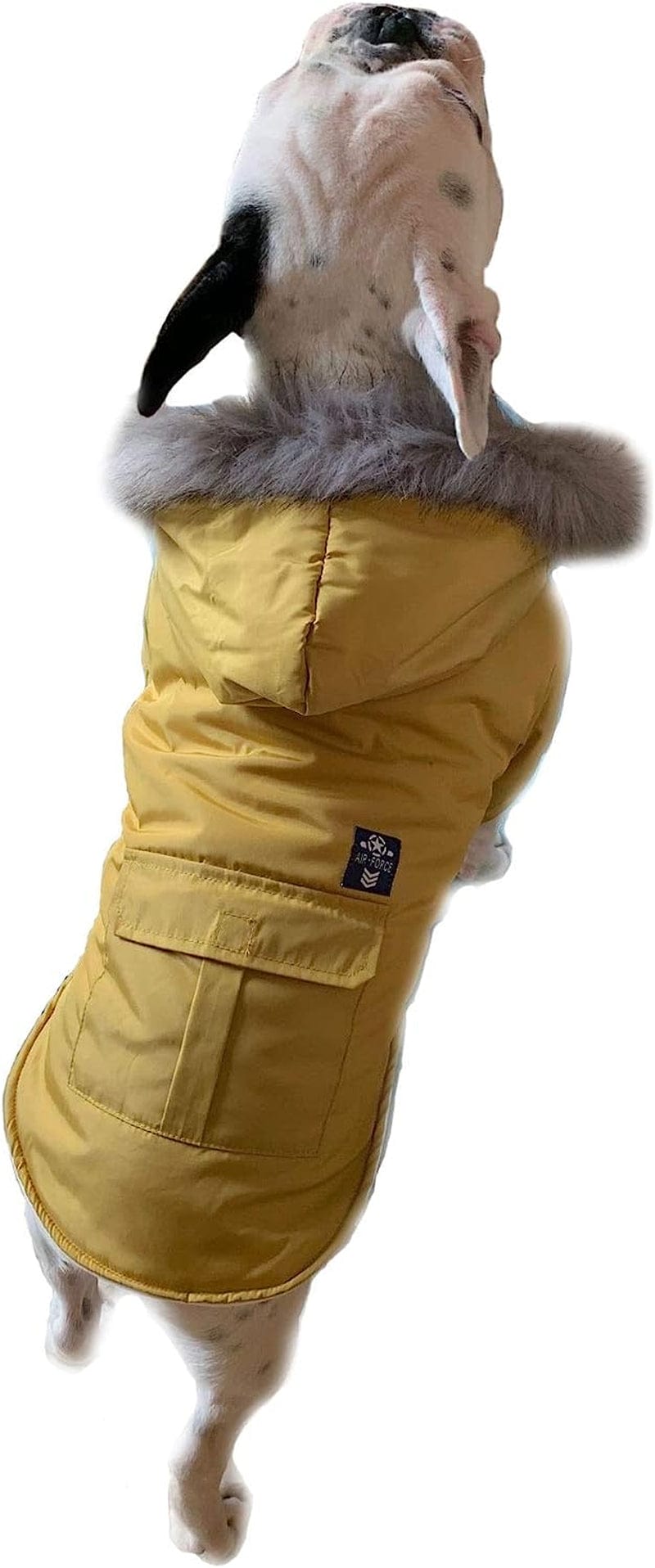 Petbobo Cat Dog Doggie down Jacket Hoodie Coat Pet Clothes Warm Clothing for Small Dogs Winter (S, Yellow) Animals & Pet Supplies > Pet Supplies > Dog Supplies > Dog Apparel PetBoBo   