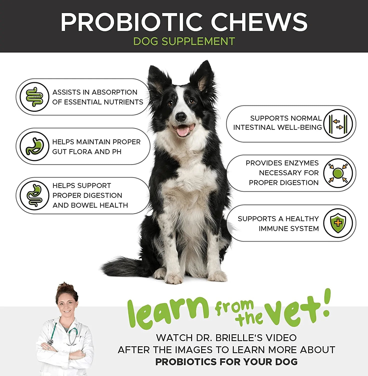 Pethonesty Digestive Probiotics for Dogs - All-Natural Advanced Dog Probiotics Chews with Prebiotics & Pumpkin, Helps with Dog Diarrhea and Constipation, Improves Digestion, Allergy, Immunity & Health Animals & Pet Supplies > Pet Supplies > Dog Supplies > Dog Treadmills PetHonesty   