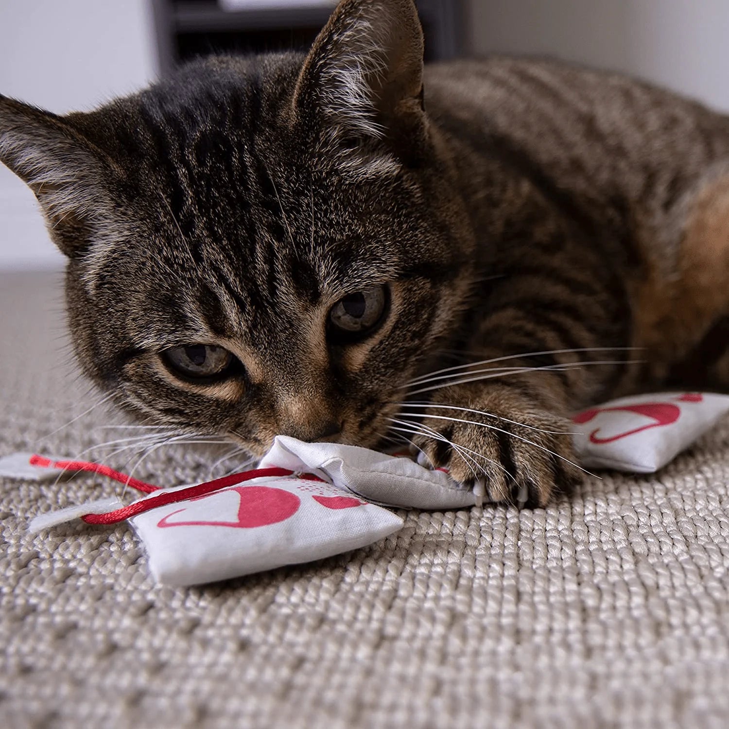 Catnip tea bags clearance for cats