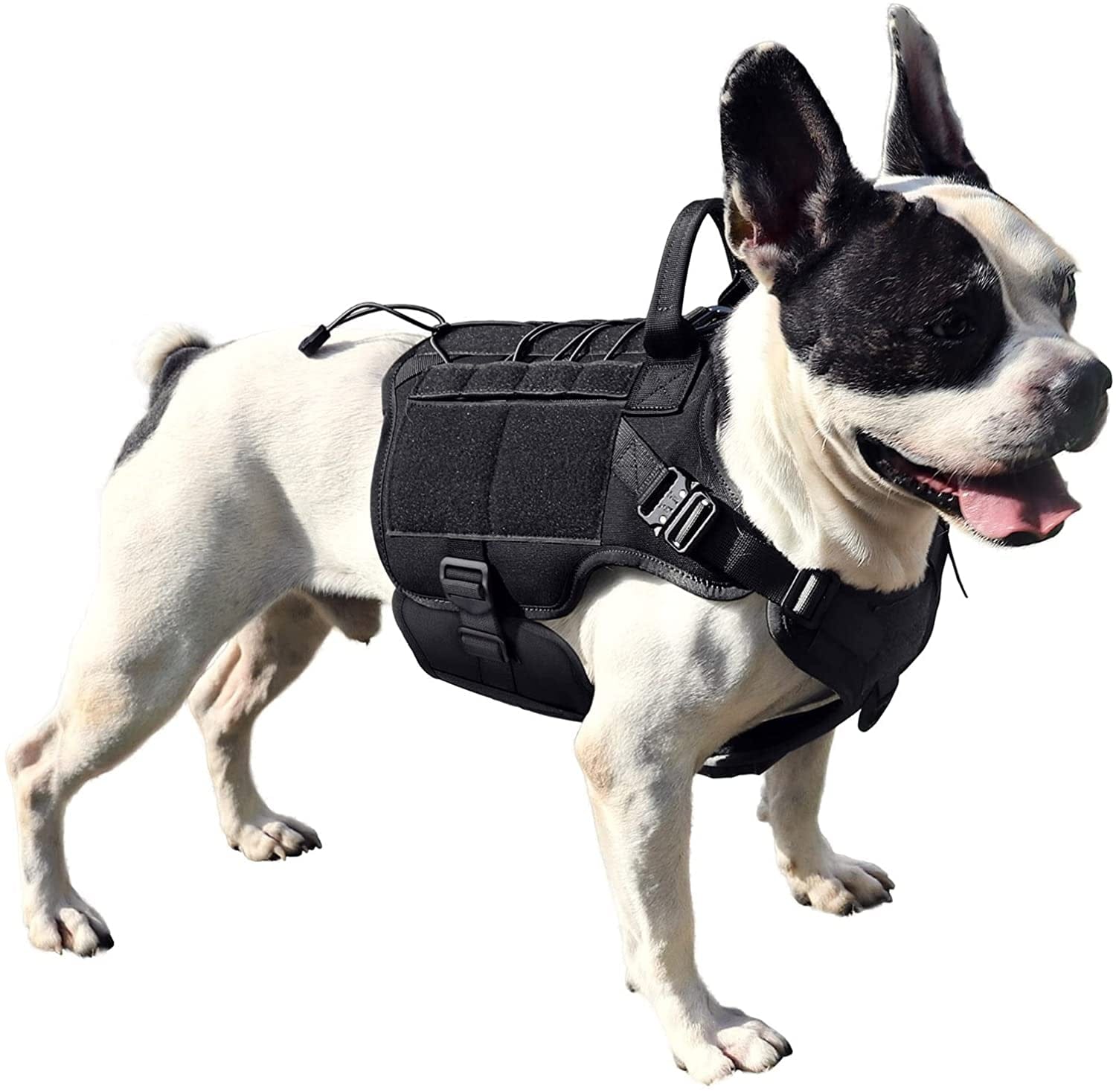 PETNANNY Tactical Dog Harness - 2 Metal Buckle, Service Dog Vest