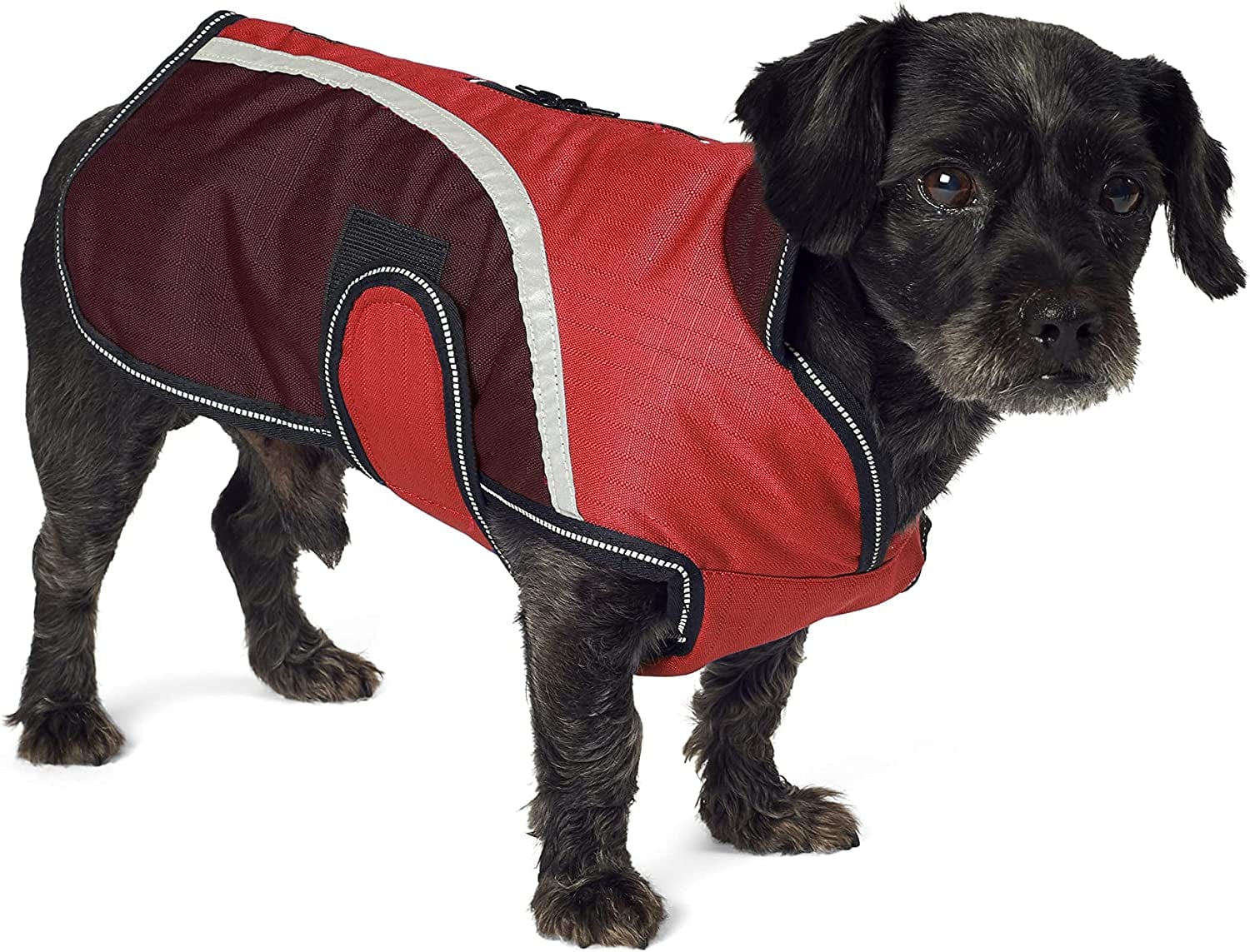 Petrageous 8400RXL Calgary Waterproof Dog Coat with Two-Way Zipper Opening for Dog Harness 23-Inch Long Heavyweight Jacket for Extra Large Dogs, Red Animals & Pet Supplies > Pet Supplies > Dog Supplies > Dog Apparel Pet Rageous Designs, LLC Small  