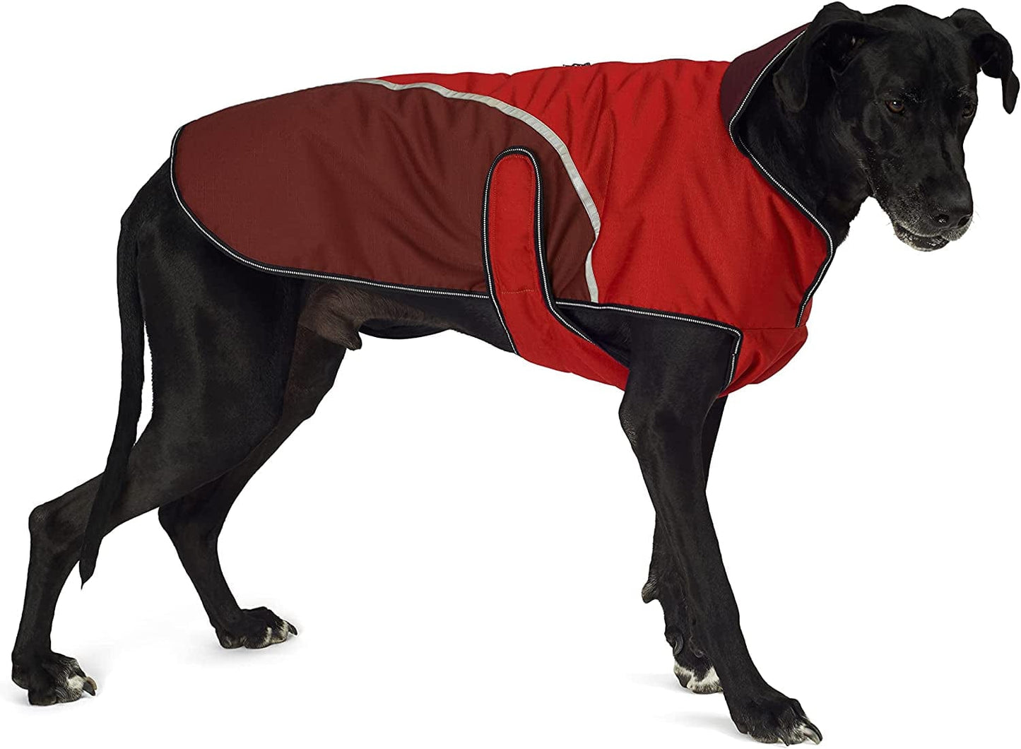 Petrageous 8400RXL Calgary Waterproof Dog Coat with Two-Way Zipper Opening for Dog Harness 23-Inch Long Heavyweight Jacket for Extra Large Dogs, Red Animals & Pet Supplies > Pet Supplies > Dog Supplies > Dog Apparel Pet Rageous Designs, LLC XX-Large  