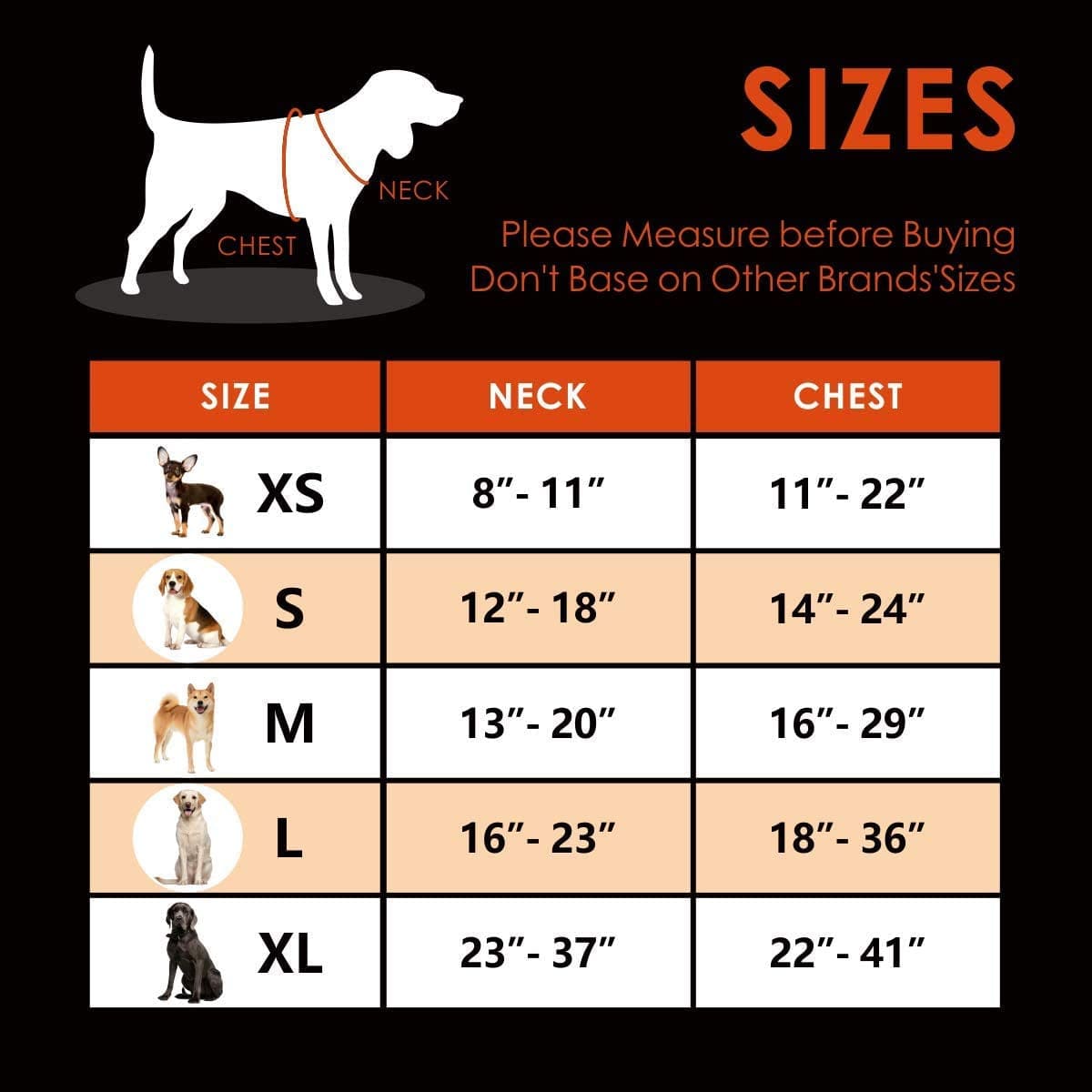 PHOEPET No Pull Dog Harness Medium Reflective Front Clip Vest with Handle,Adjustable 2 Metal Rings 2 Buckles(M, Grey) Animals & Pet Supplies > Pet Supplies > Dog Supplies > Dog Apparel PHOEPET   