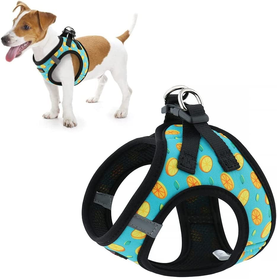 Plutus Pet Step-In Dog Harness, Adjustable Reflective Soft Dog Harness, Breathable Dog Vest Harness for Cats Puppy and Small Medium Dogs(M, Red) Animals & Pet Supplies > Pet Supplies > Dog Supplies > Dog Apparel PLUTUS PET Orange Pattern L(chest: 16.9"-18.5") 