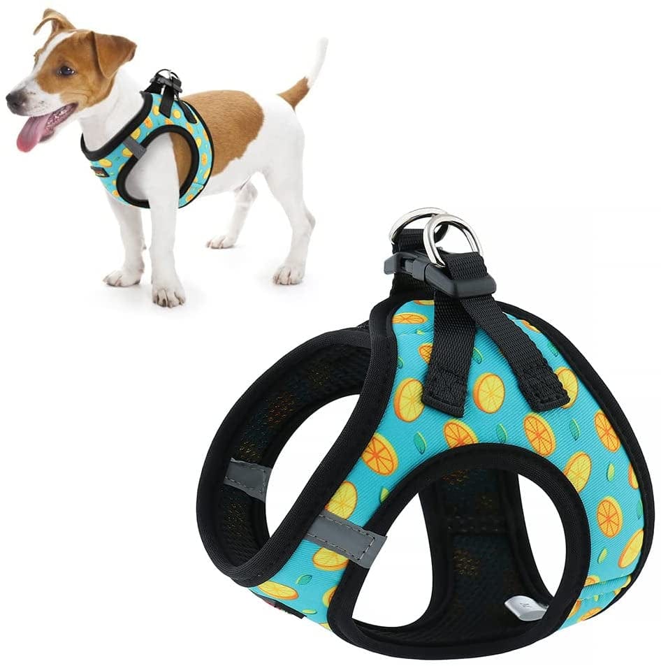 Plutus Pet Step-In Dog Harness, Adjustable Reflective Soft Dog Harness, Breathable Dog Vest Harness for Cats Puppy and Small Medium Dogs(M, Red) Animals & Pet Supplies > Pet Supplies > Dog Supplies > Dog Apparel PLUTUS PET Orange Pattern M(chest: 13.8"-16.9") 