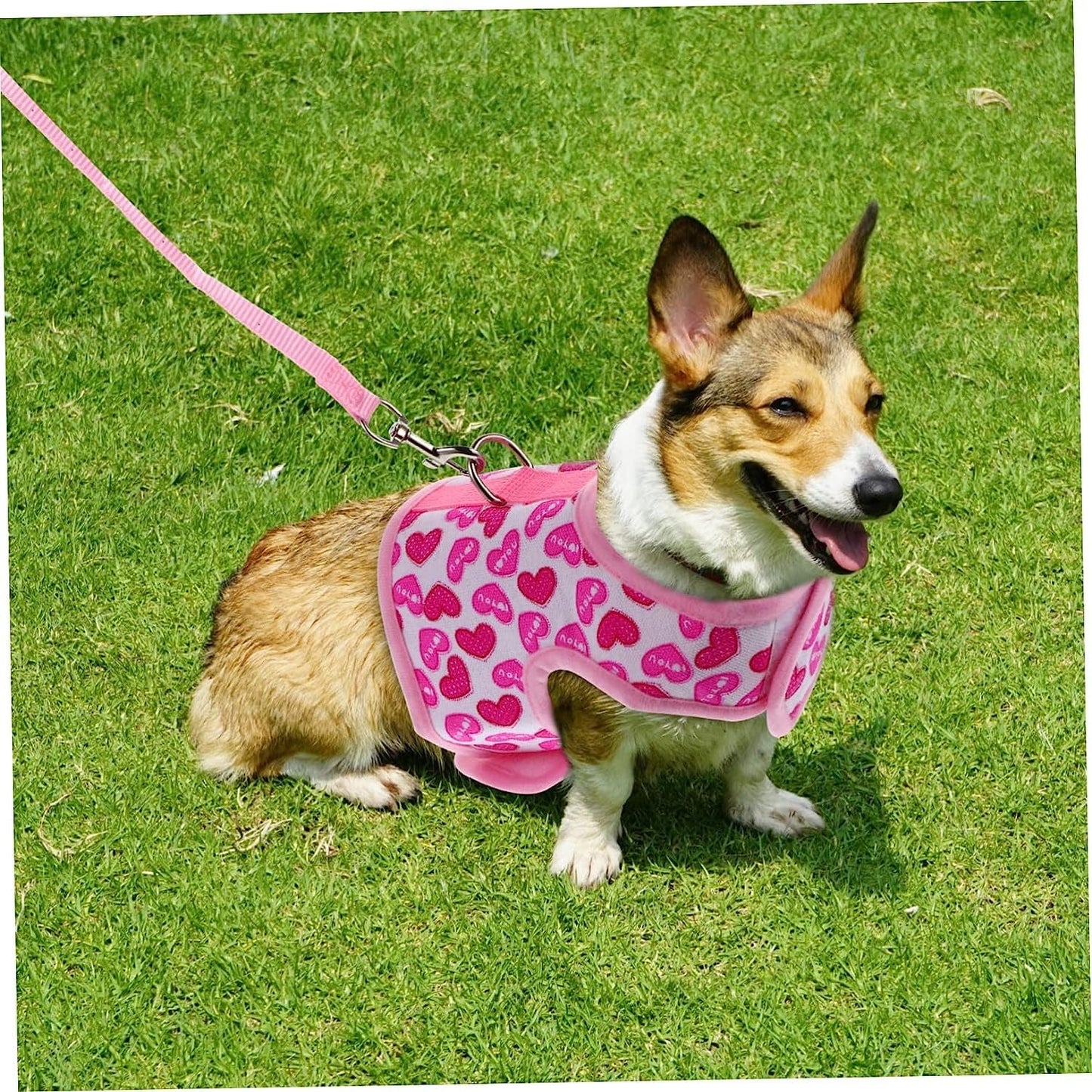 POPETPOP Pet Harness Puppy Vest Fashion Harness Harness for Small Dogs Cool Mesh Dog Harness Dog Vest Harness Pet Summer Vest Pet Cool Harness Dog Summer Harness Dog Strap Vest Running Set Animals & Pet Supplies > Pet Supplies > Dog Supplies > Dog Apparel POPETPOP   