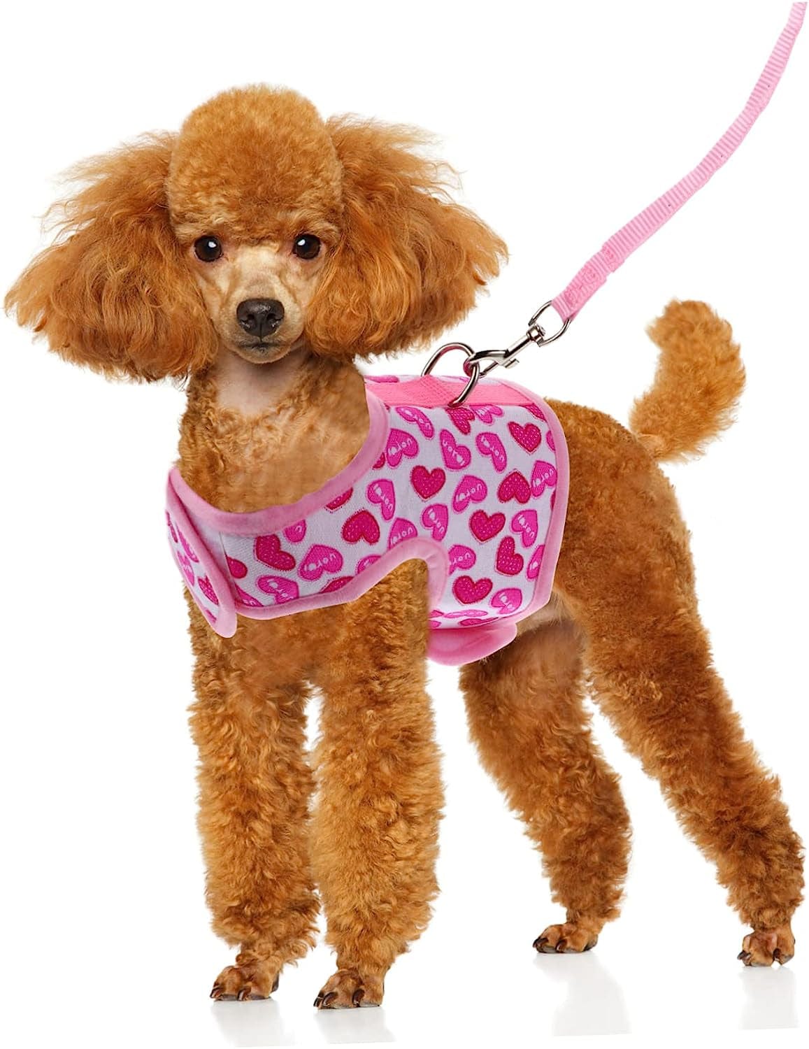 POPETPOP Pet Harness Puppy Vest Fashion Harness Harness for Small Dogs Cool Mesh Dog Harness Dog Vest Harness Pet Summer Vest Pet Cool Harness Dog Summer Harness Dog Strap Vest Running Set Animals & Pet Supplies > Pet Supplies > Dog Supplies > Dog Apparel POPETPOP   