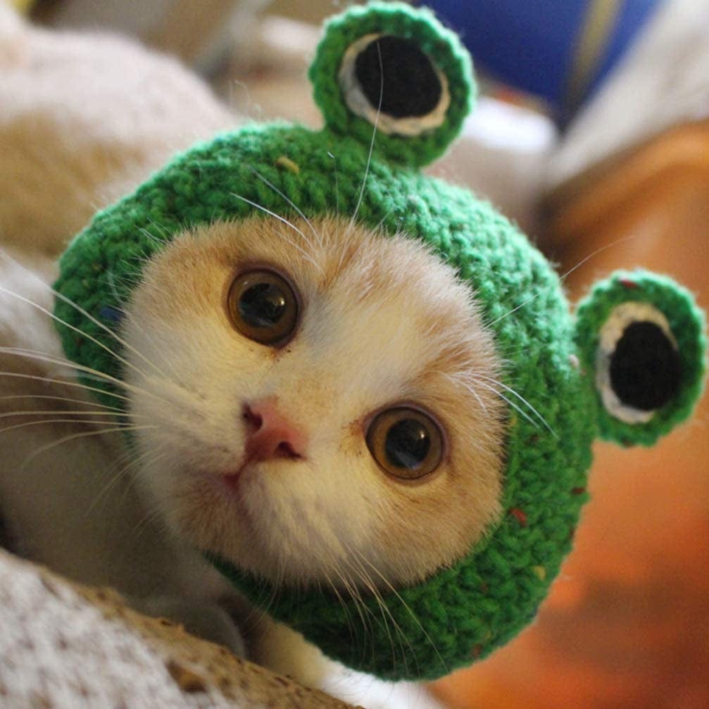 POPETPOP Pet Hat - Frog Hat for Cat Pet Cap Handmade Knitted Woolen Ya –  KOL PET
