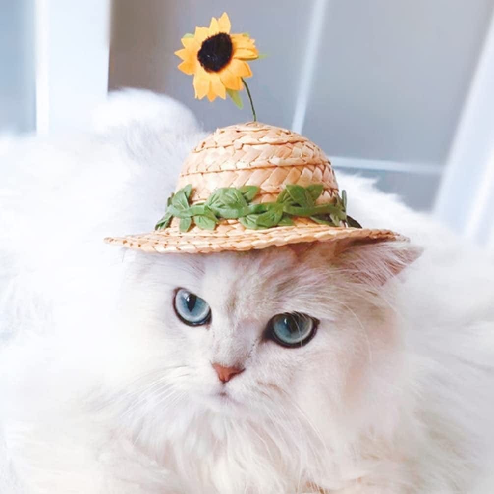 POPETPOP Pet Straw Hat Funny Mexican Sombrero Cap with Sunflower Pet S –  KOL PET
