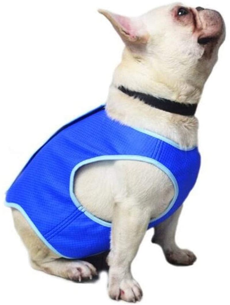 POPETPOP Winter Vest Summer Cooling Vest for Dogs - Lightweight Jacket Dog Ice-Cooling Harness Coats for Small and Medium Dogs Outdoor Training Camping Camis Animals & Pet Supplies > Pet Supplies > Dog Supplies > Dog Apparel POPETPOP S  