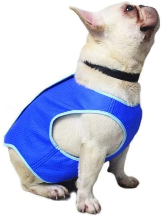 POPETPOP Winter Vest Summer Cooling Vest for Dogs - Lightweight Jacket Dog Ice-Cooling Harness Coats for Small and Medium Dogs Outdoor Training Camping Camis Animals & Pet Supplies > Pet Supplies > Dog Supplies > Dog Apparel POPETPOP S  