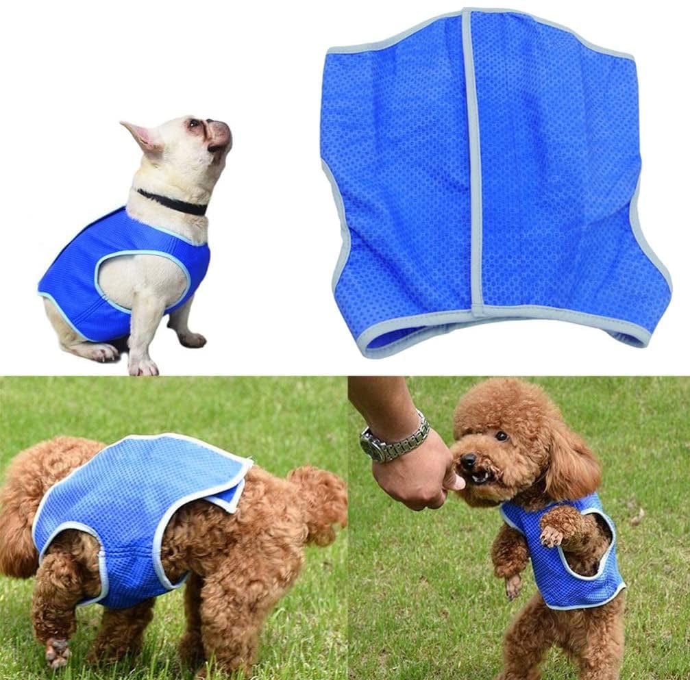 POPETPOP Winter Vest Summer Cooling Vest for Dogs - Lightweight Jacket Dog Ice-Cooling Harness Coats for Small and Medium Dogs Outdoor Training Camping Camis Animals & Pet Supplies > Pet Supplies > Dog Supplies > Dog Apparel POPETPOP   