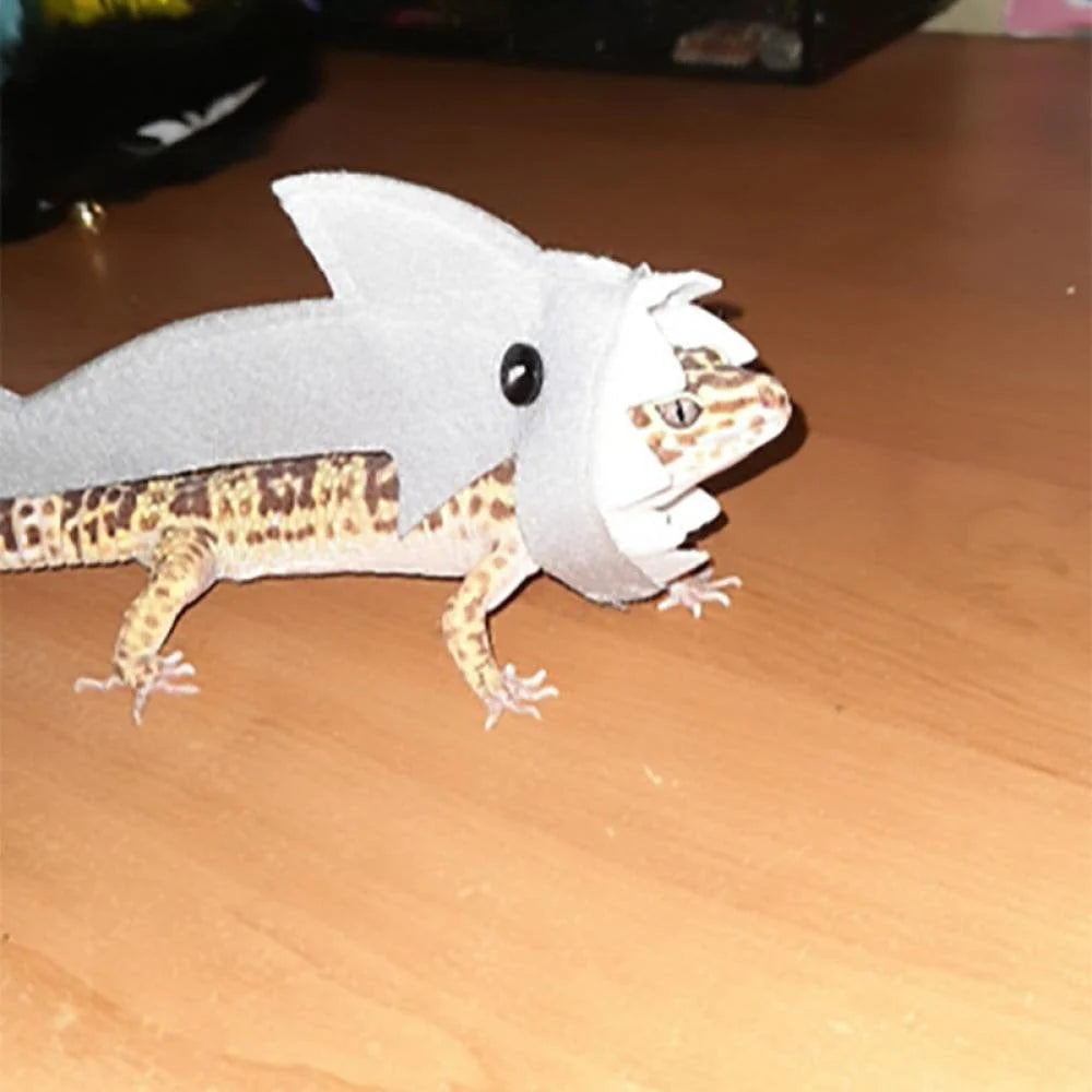 Popvcly Bearded Dragon Shark Outfit Lizard Reptile Shark Costume Handmade Felt Bearded Dragon Harness for Chameleon Gecko Anole Iguana Amphibians, Gray, L Animals & Pet Supplies > Pet Supplies > Dog Supplies > Dog Apparel Popvcly   