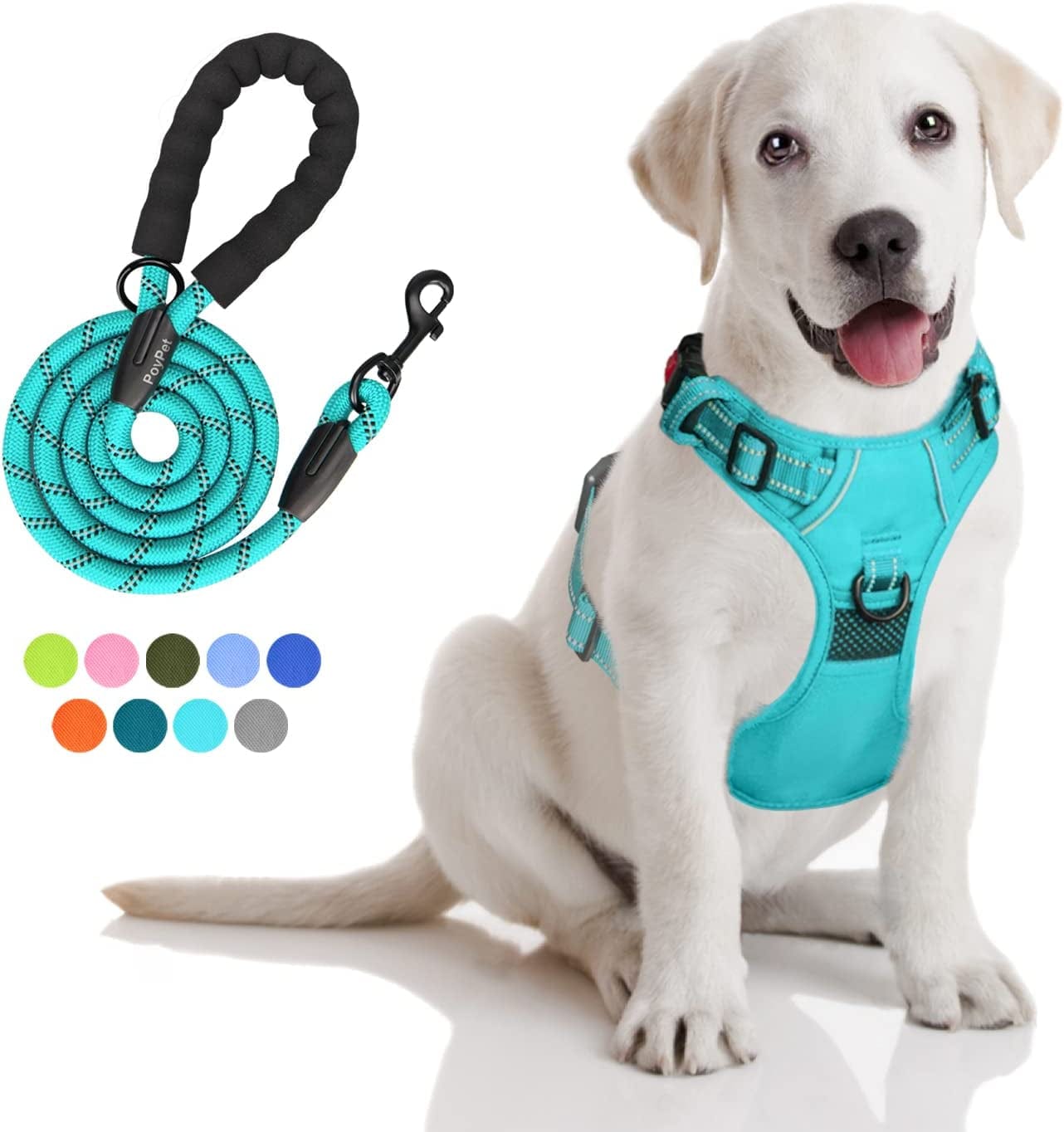 Poypet Dog Harness and Leash Combo, Escape Proof No Pull Vest Harness, with 5 Feet Leash, Reflective Adjustable Soft Padded Pet Harness with Handle for Small to Large Dogs(Pink,M) Animals & Pet Supplies > Pet Supplies > Dog Supplies > Dog Apparel PoyPet Mint Blue S 