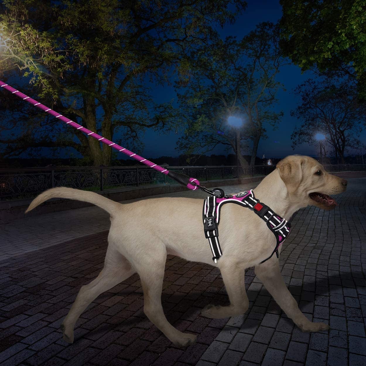 Poypet Dog Harness and Leash Combo, Escape Proof No Pull Vest Harness, with 5 Feet Leash, Reflective Adjustable Soft Padded Pet Harness with Handle for Small to Large Dogs(Pink,M) Animals & Pet Supplies > Pet Supplies > Dog Supplies > Dog Apparel PoyPet   