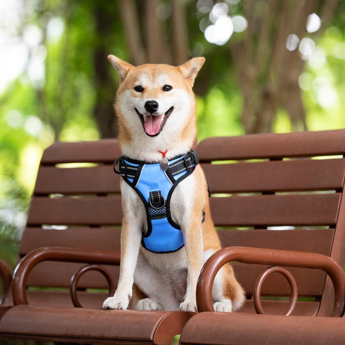 Poypet Dog Harness No Pull, Reflective with Front & Back 2 Leash Hooks and an Easy Control Handle Pet Harness for Puppy Small Dog, Adjustable Soft Padded Vest Harness(Blue,S) Animals & Pet Supplies > Pet Supplies > Dog Supplies > Dog Apparel PoyPet   