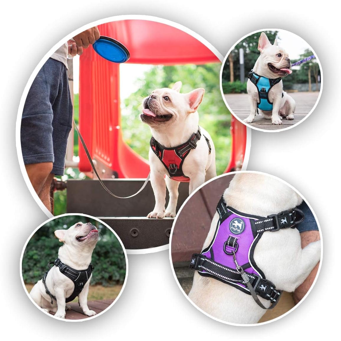 Poypet Dog Harness No Pull, Reflective with Front & Back 2 Leash Hooks and an Easy Control Handle Pet Harness for Puppy Small Dog, Adjustable Soft Padded Vest Harness(Blue,S) Animals & Pet Supplies > Pet Supplies > Dog Supplies > Dog Apparel PoyPet   