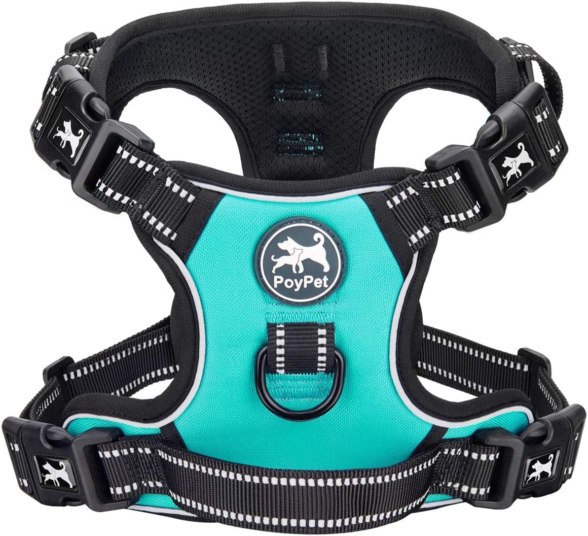 Poypet Dog Harness No Pull, Reflective with Front & Back 2 Leash Hooks and an Easy Control Handle Pet Harness for Puppy Small Dog, Adjustable Soft Padded Vest Harness(Blue,S) Animals & Pet Supplies > Pet Supplies > Dog Supplies > Dog Apparel PoyPet Mint Blue S 