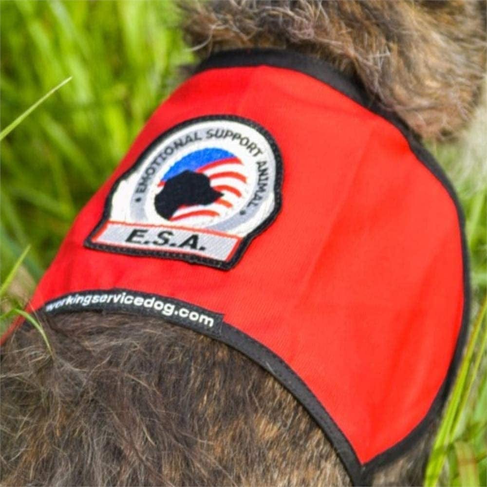 Premium ESA Dog Vest - for Smaller Emotional Support Animals (4-7 Pounds, RED) Animals & Pet Supplies > Pet Supplies > Dog Supplies > Dog Apparel Working Service Dog   