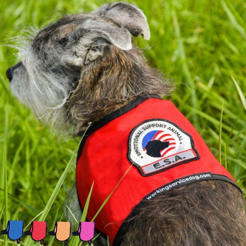 Premium ESA Dog Vest - for Smaller Emotional Support Animals (4-7 Pounds, RED) Animals & Pet Supplies > Pet Supplies > Dog Supplies > Dog Apparel Working Service Dog Red 7-11 Pounds 