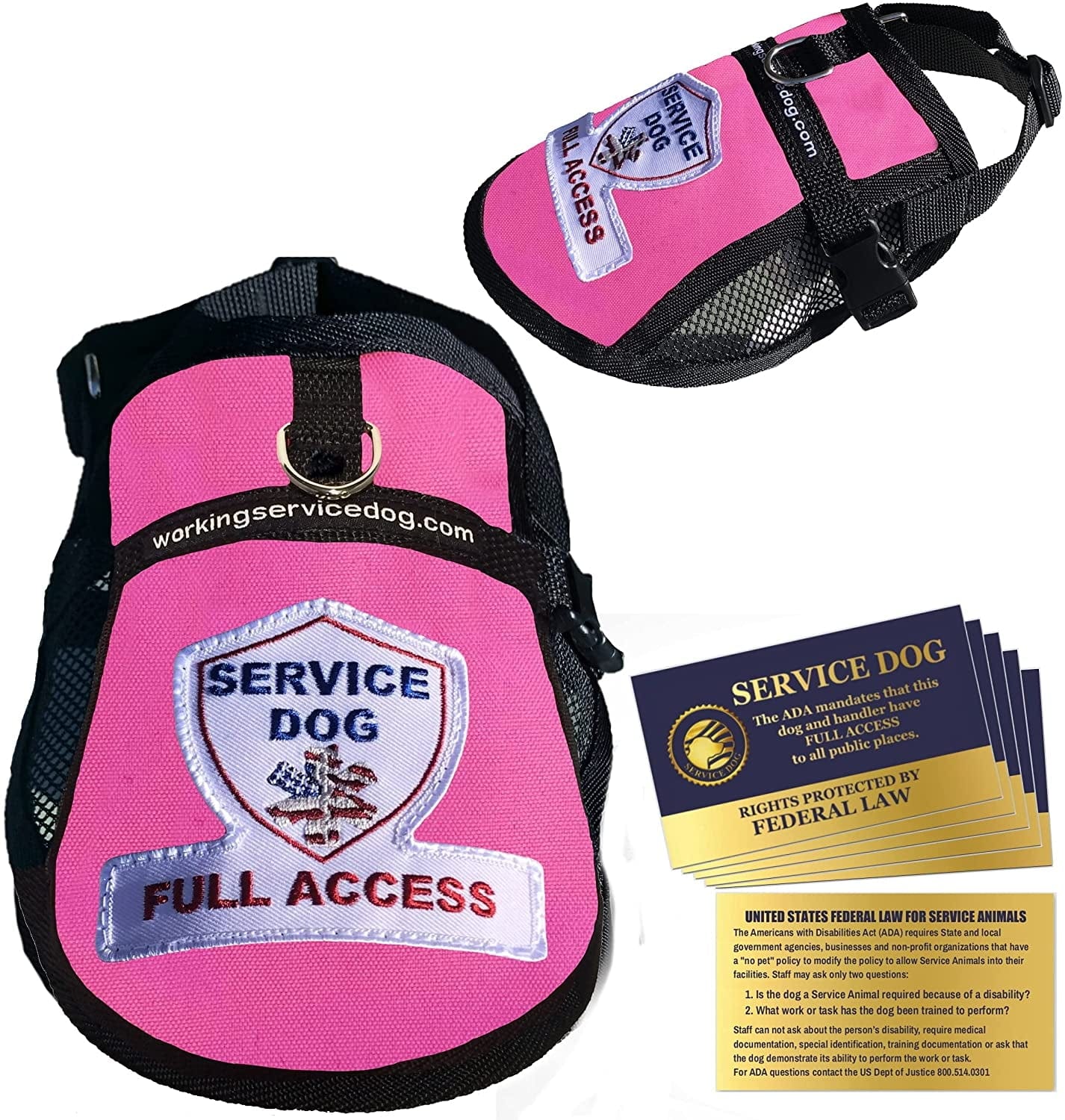 Premium Service Dog Mesh Full Access Vest - (18 - 22" Girth, Red) - Includes Five Service Dog Law Handout Cards Animals & Pet Supplies > Pet Supplies > Dog Supplies > Dog Apparel Working Service Dog Raspberry Fits 9" - 13" Girth 