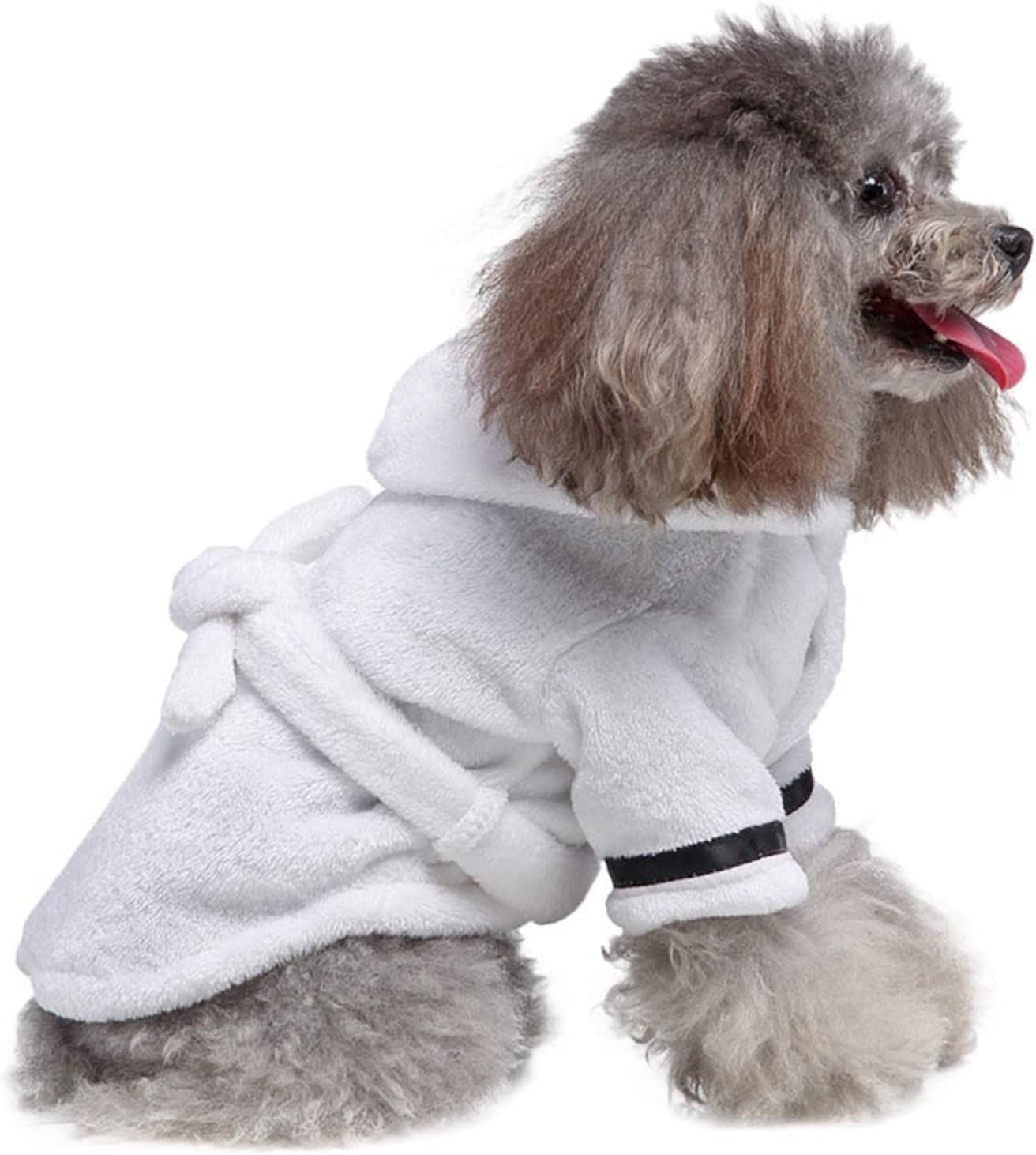 Doggy hotel clearance clothes