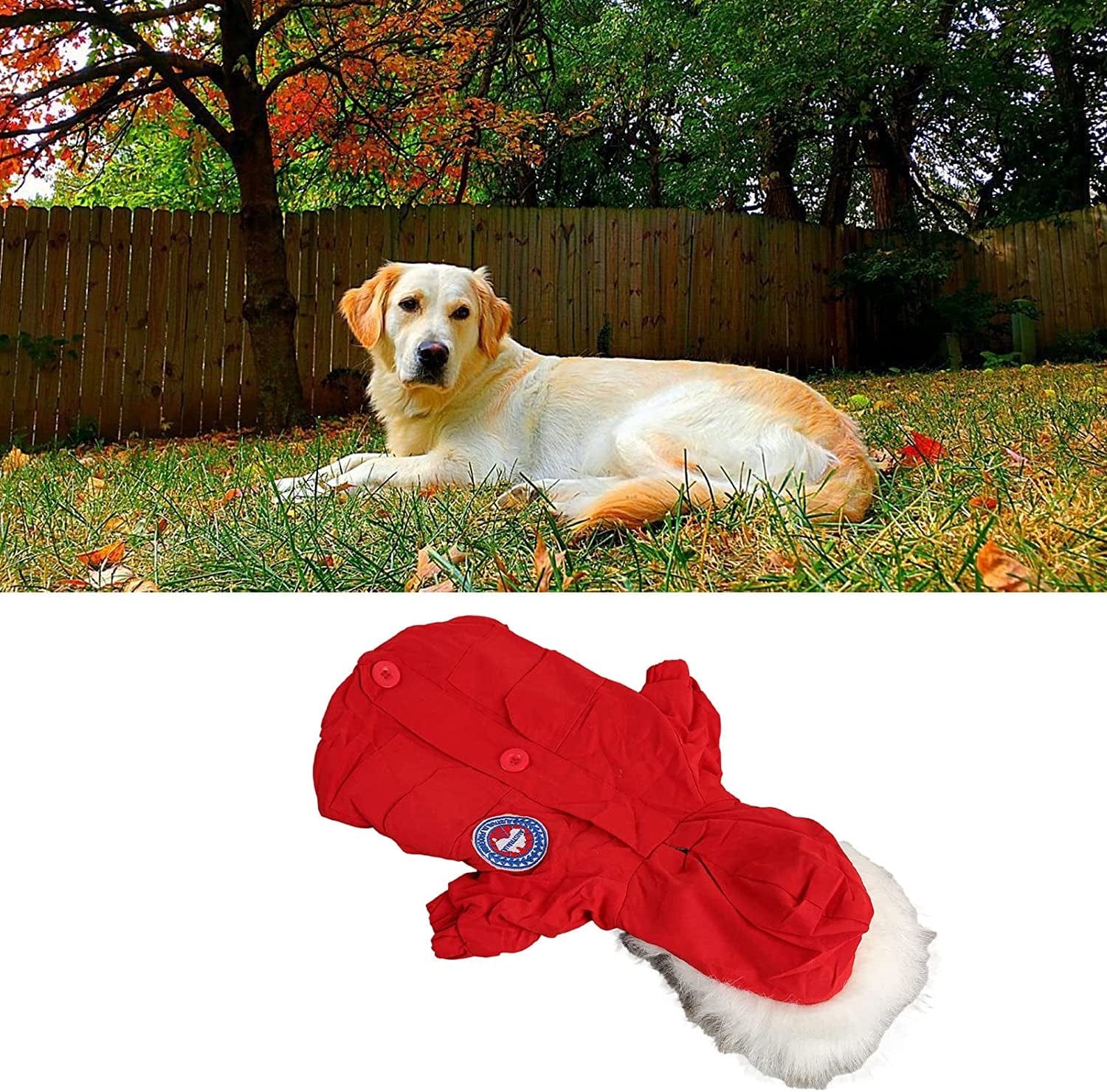 Puppy Hoodie Winter Coats, Comfortable Casual Dog Hoodie Winter Jacket Hair Protection for Cats for Kittens Animals & Pet Supplies > Pet Supplies > Dog Supplies > Dog Apparel LISND   