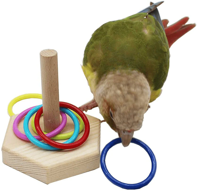 QBLEEV Bird Toys, Bird Trick Tabletop Toys, Training Basketball Stacking Color Ring Toys Sets, Parrot Chew Ball Foraing Toys, Education Play Gym Playground Activity Cage Foot Toys Animals & Pet Supplies > Pet Supplies > Bird Supplies > Bird Gyms & Playstands QBLEEV Hexagon Rings Toy  