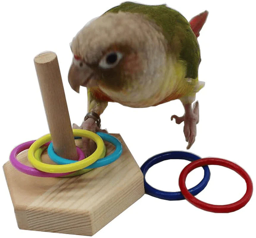 QBLEEV Bird Toys, Bird Trick Tabletop Toys, Training Basketball Stacking Color Ring Toys Sets, Parrot Chew Ball Foraing Toys, Education Play Gym Playground Activity Cage Foot Toys Animals & Pet Supplies > Pet Supplies > Bird Supplies > Bird Gyms & Playstands QBLEEV   