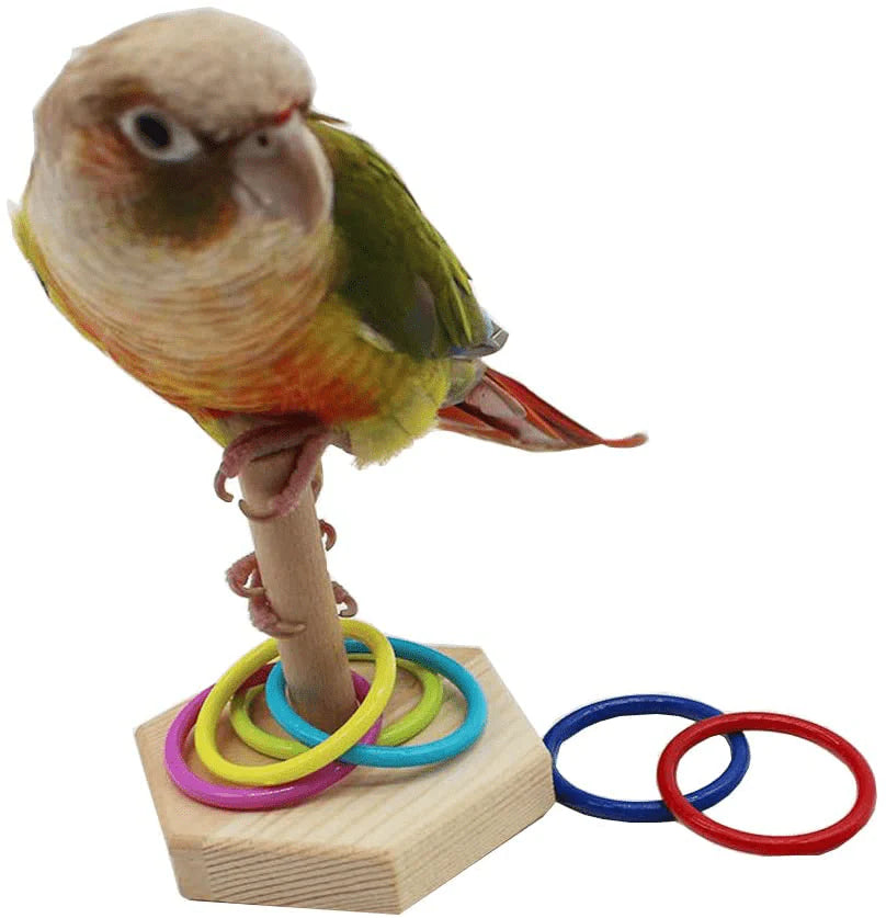QBLEEV Bird Toys, Bird Trick Tabletop Toys, Training Basketball Stacking Color Ring Toys Sets, Parrot Chew Ball Foraing Toys, Education Play Gym Playground Activity Cage Foot Toys Animals & Pet Supplies > Pet Supplies > Bird Supplies > Bird Gyms & Playstands QBLEEV   