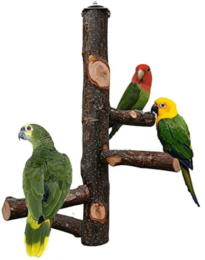 Qeeheng Bird Stand Perch,Natural Wood Parrot Perch Bird Cage,Bird Cage Perches for Parrots,Small Parakeets Cockatiels, Macaws, Parrots, Love Birds, Finches Animals & Pet Supplies > Pet Supplies > Bird Supplies > Bird Cages & Stands QeeHeng   