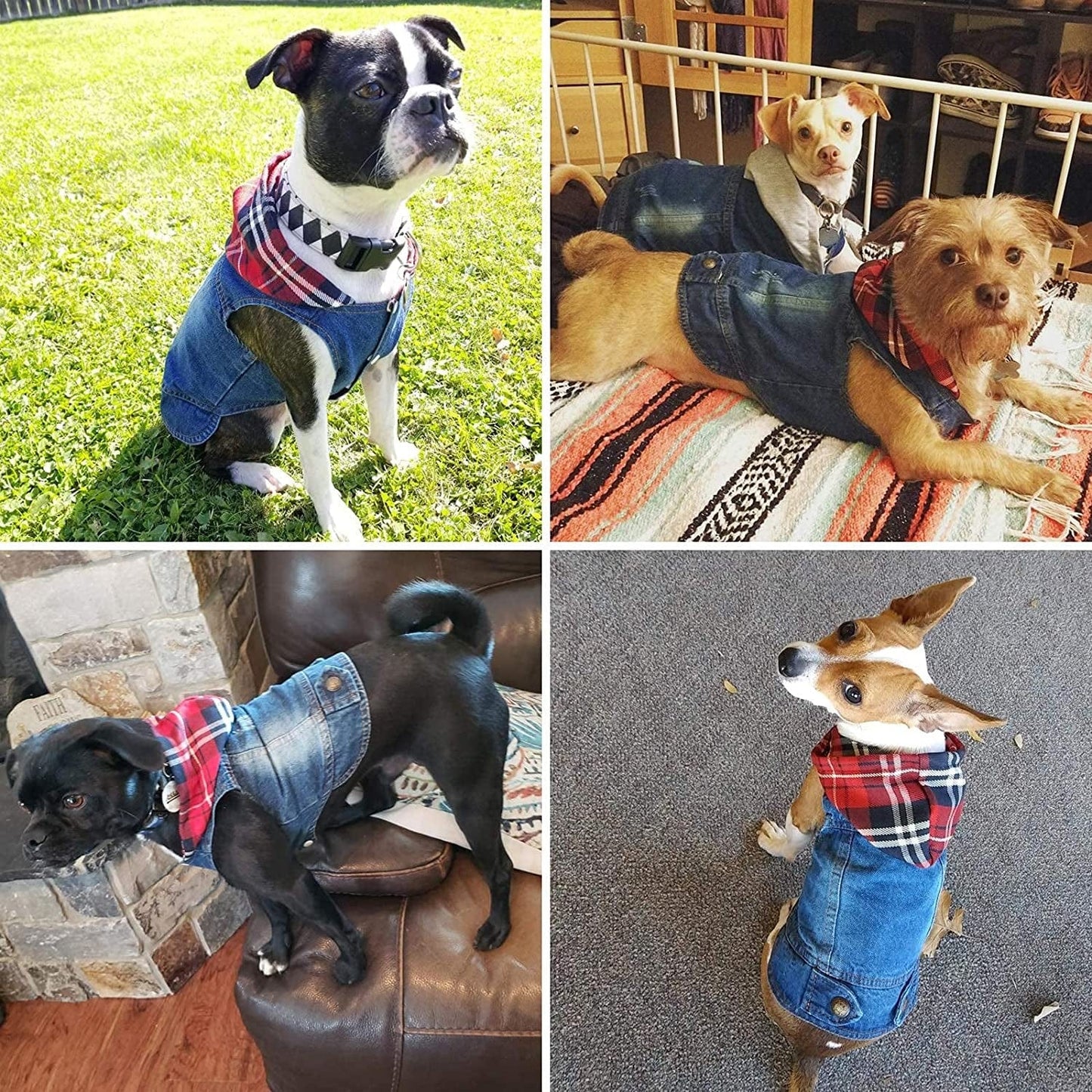 QEQRUG Dog Hoodie Denim Jeans Jacket Coat for Small Medium Dogs Vest Vintage Washed Clothes,Red Plaid Hat,Xs Animals & Pet Supplies > Pet Supplies > Dog Supplies > Dog Apparel QEQRUG   