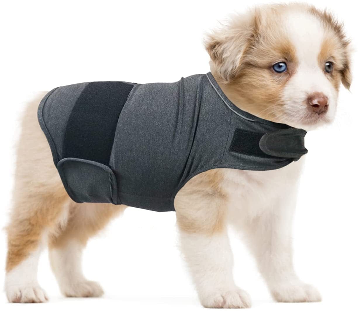 QIYADIN Dog Comfort Dog Anxiety Relief Coat, Breathable Shirts for Dogs, Dog Anxiety Vest Jacket Warp, Puppy Anxiety Calming Vest Wrap (XL) Animals & Pet Supplies > Pet Supplies > Dog Supplies > Dog Apparel PetHouzz XS  