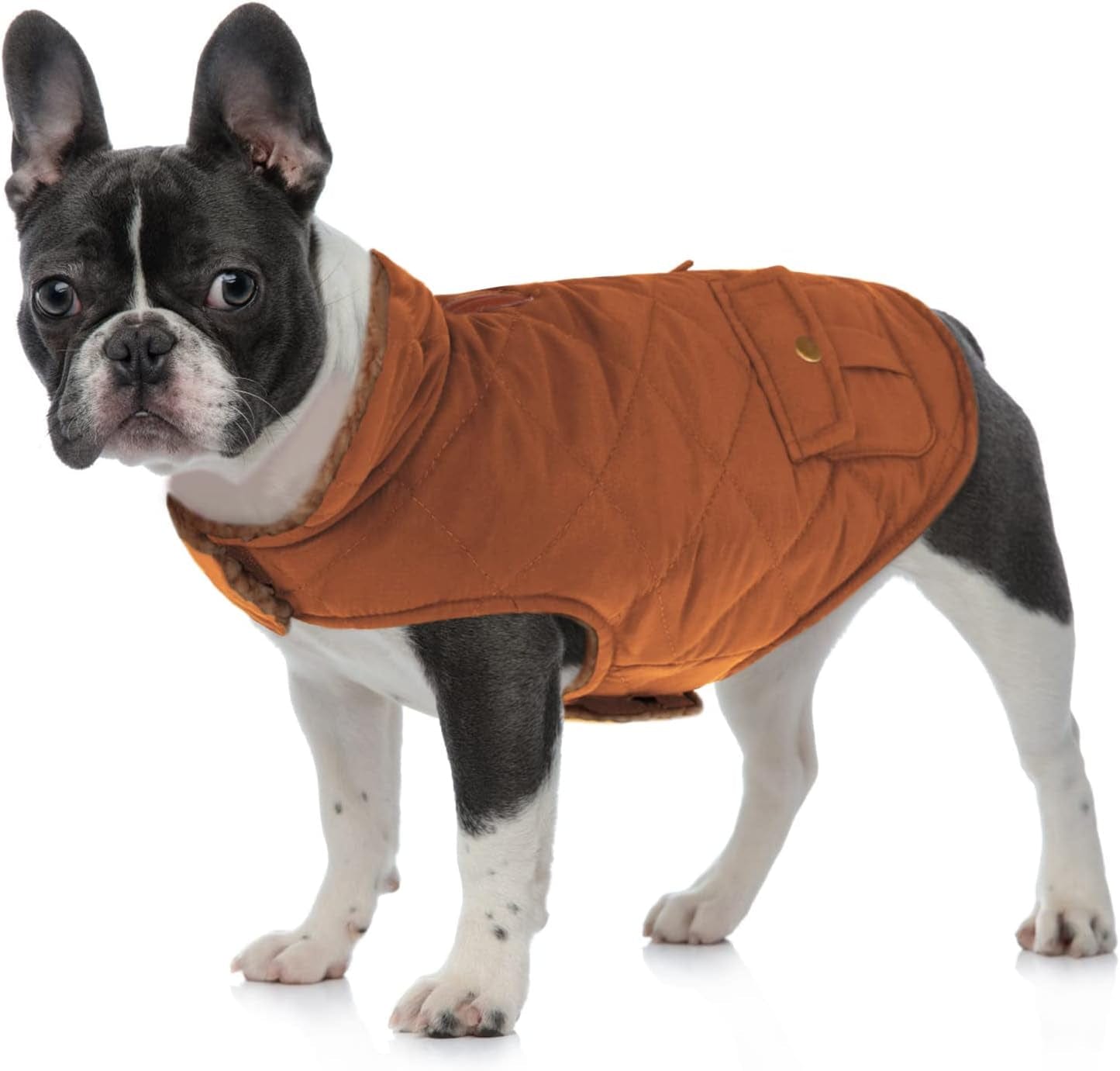 Queenmore Cold Weather Dog Coat, Winter Quilting Dog Jacket Ultra Warm Thick Plush Lining with Storage Pockets (Brown, Medium) Animals & Pet Supplies > Pet Supplies > Dog Supplies > Dog Apparel Queenmore   