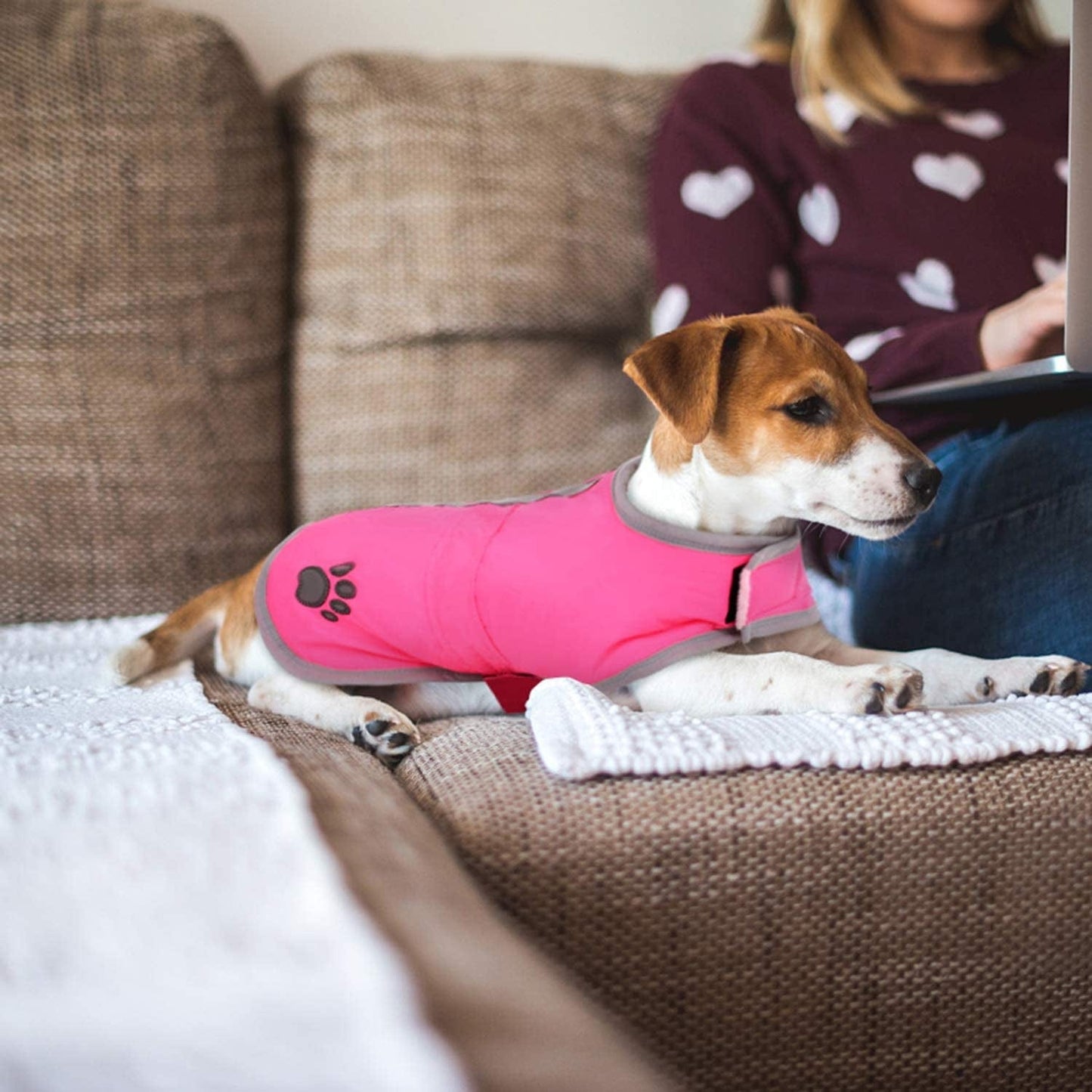 Queenmore Cold Weather Dog Coats Loft Reversible Winter Fleece Dog Vest Waterproof Pet Jacket Available in Extra Small, Small, Medium, Large Extra Large Sizes Animals & Pet Supplies > Pet Supplies > Dog Supplies > Dog Apparel Queenmore   