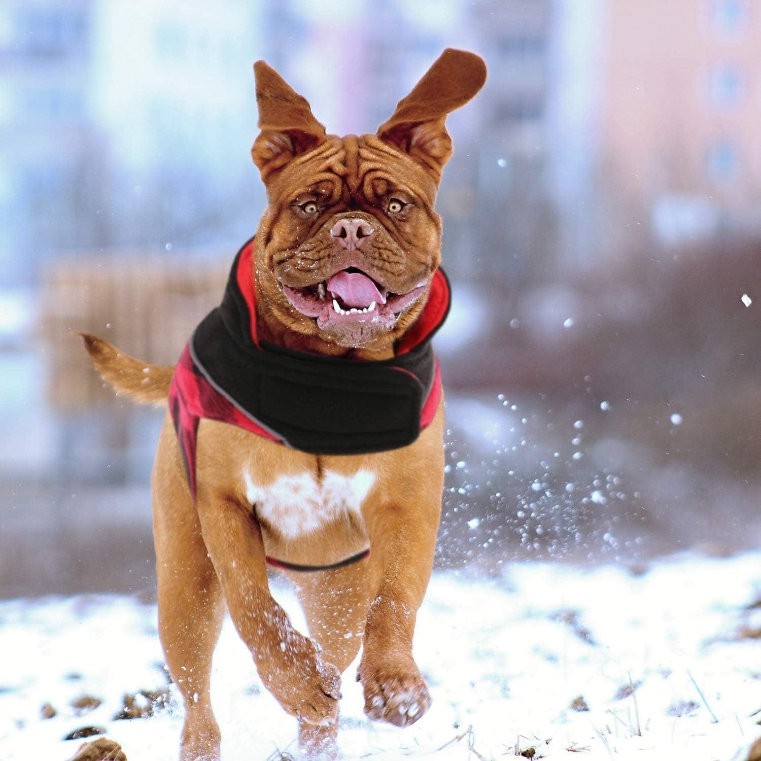 Queenmore Warm Dog Jacket, Reversible Dog Winter Coat, Reflective Windproof Waterproof Dog Clothes for Winter, Plaid Dog Coats for Small Medium Large Dogs Boy Girl Dogs, Red, M Animals & Pet Supplies > Pet Supplies > Dog Supplies > Dog Apparel Queenmore   