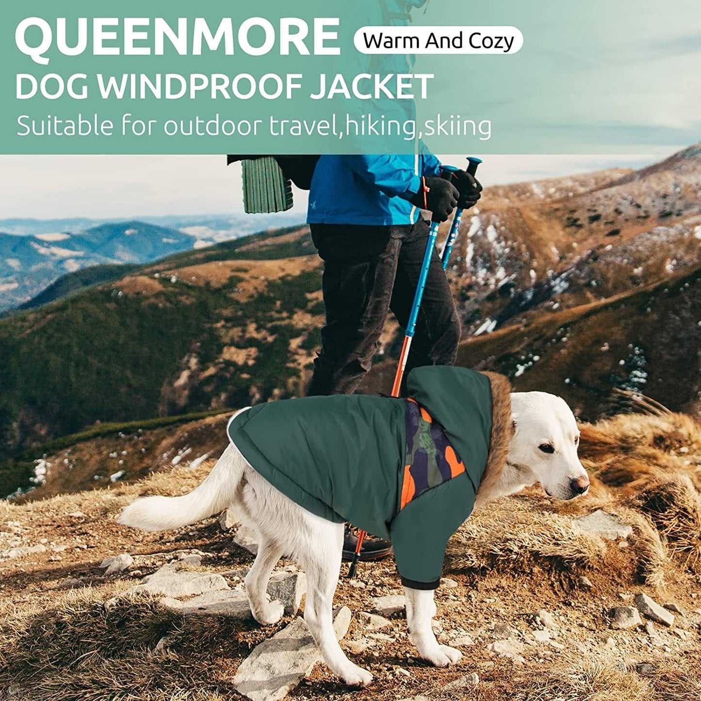 Queenmore Warm Dog Winter Coat, Cold Weather Waterproof Dog Snow Jacket, Reflective Dog Hoodie with Long Sleeves for Small Medium and Large Dogs Animals & Pet Supplies > Pet Supplies > Dog Supplies > Dog Apparel Queenmore   