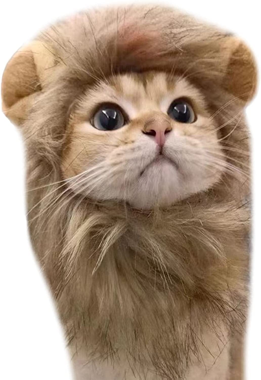 QWINEE Cat Costume Lion Head Frog Funny Mane Cat Hat Halloween Christmas Party Costume Headwear for Puppy Cat Kitten Small Dogs Grey S Animals & Pet Supplies > Pet Supplies > Dog Supplies > Dog Apparel QWINEE Brown L 