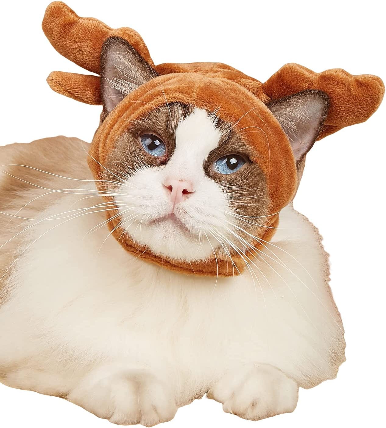QWINEE Cat Costume Lion Head Frog Funny Mane Cat Hat Halloween Christmas Party Costume Headwear for Puppy Cat Kitten Small Dogs Grey S Animals & Pet Supplies > Pet Supplies > Dog Supplies > Dog Apparel QWINEE Brown Elk L 